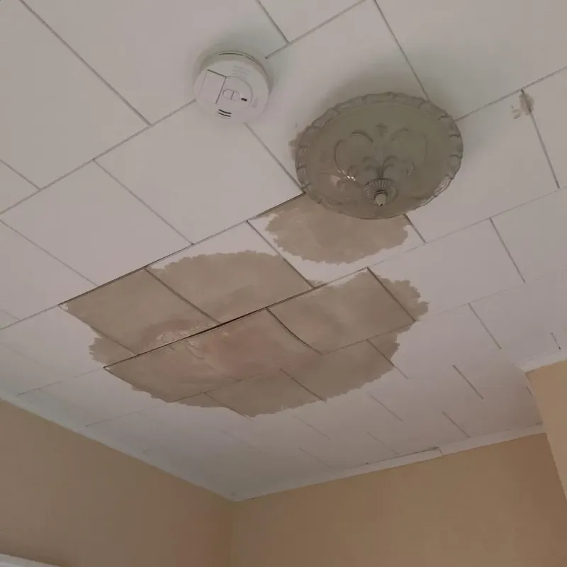 Ceiling Water Damage Repair in Phelps County, NE