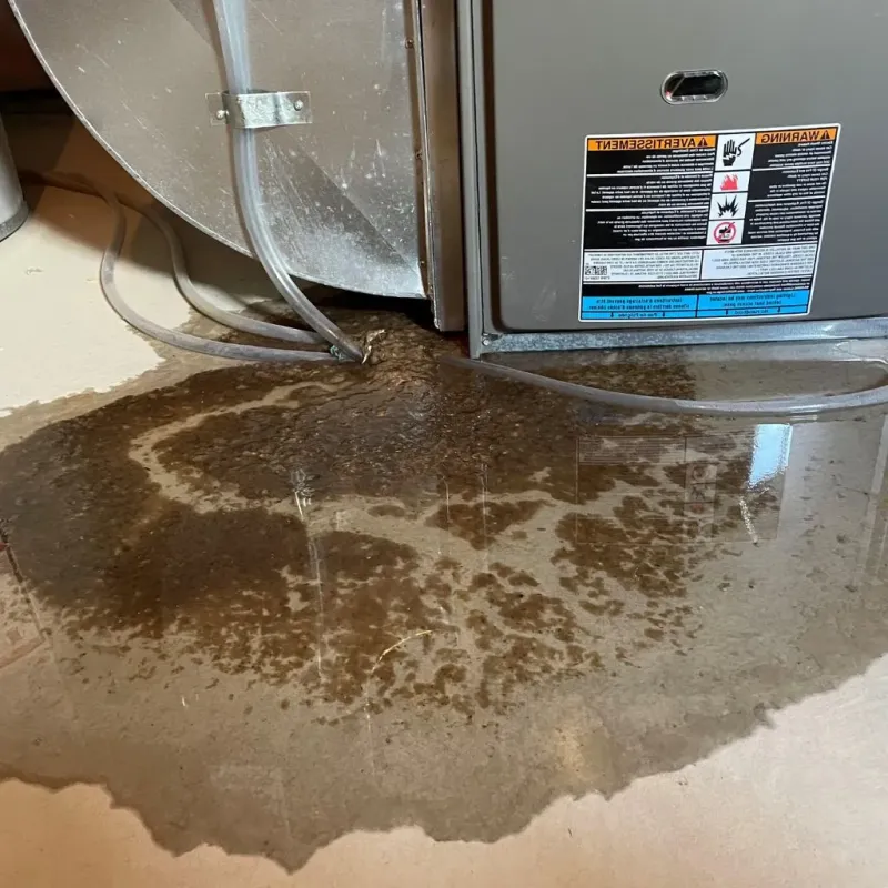 Pipe Burst and Leak Restoration in Phelps County, NE