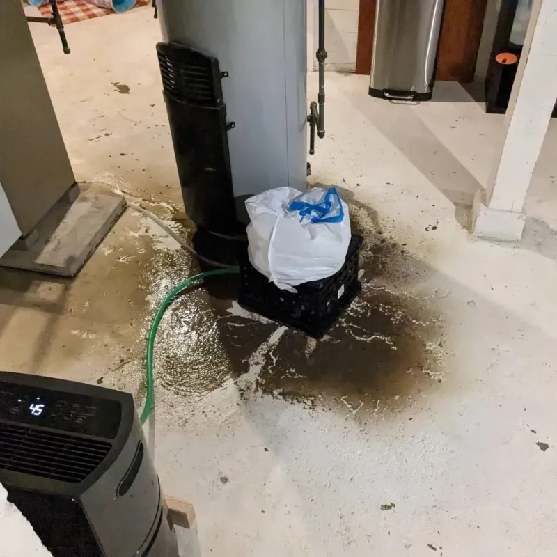 Sewage Backup Cleanup Service in Phelps County, NE